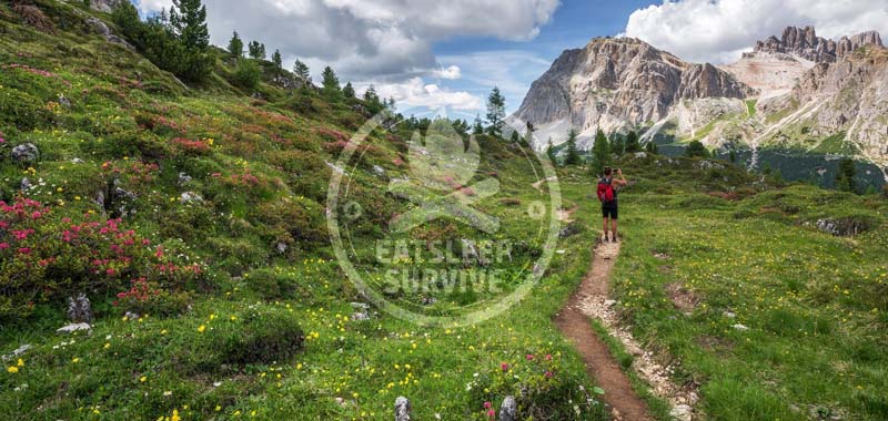 Wanderschuh Kategorien und Arten